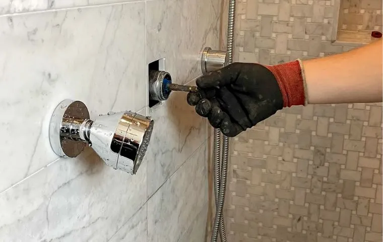 Shower Repair